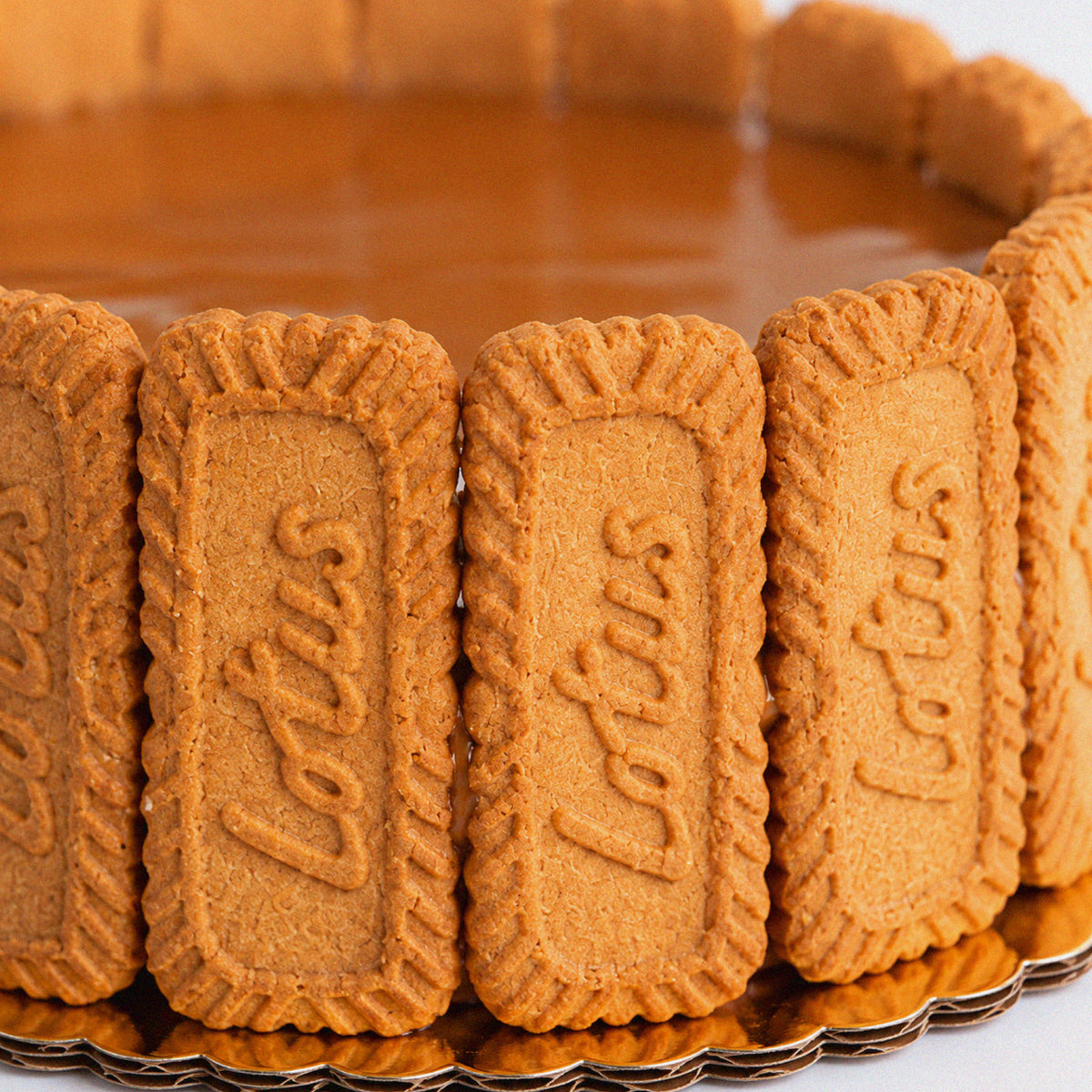 Cheesecake Lotus Biscoff