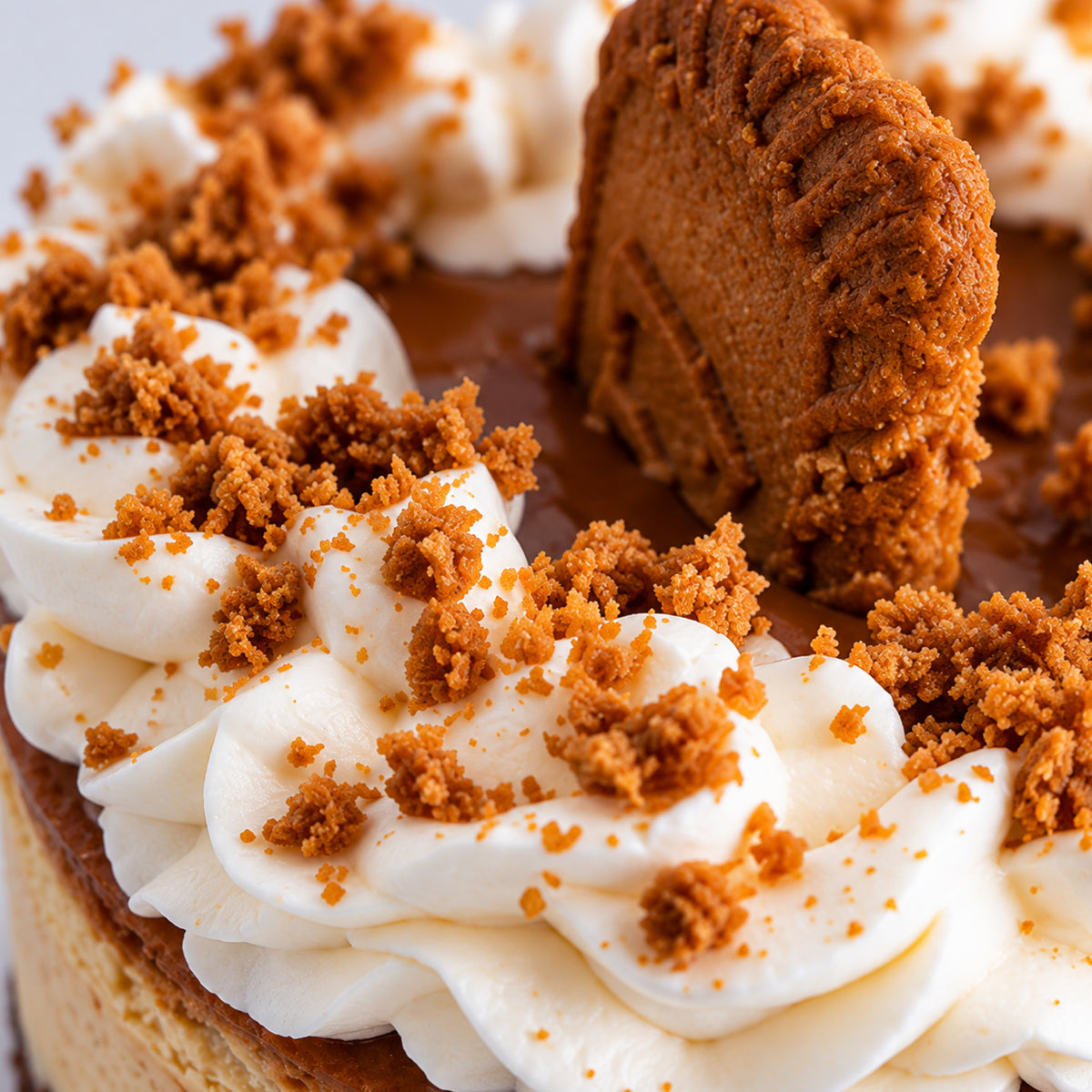 Cheesecake Lotus
